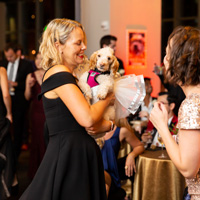 The Golden Age of Hollywoof