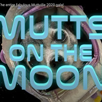 Mutts on the Moon