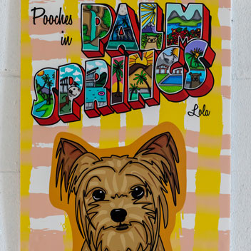 Pooches in Palm Springs