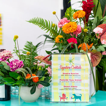 Pooches in Palm Springs