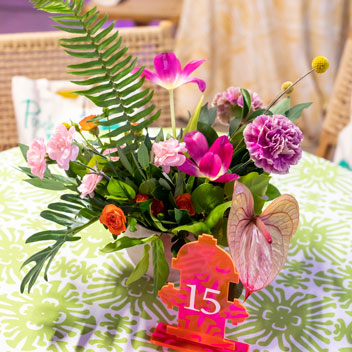 Pooches in Palm Springs