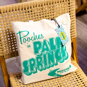 Pooches in Palm Springs