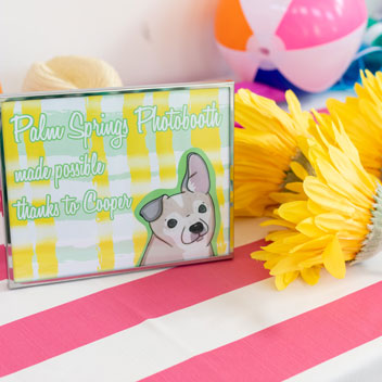 Pooches in Palm Springs