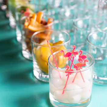 Pooches in Palm Springs