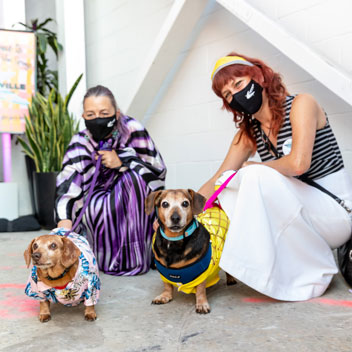 Pooches in Palm Springs