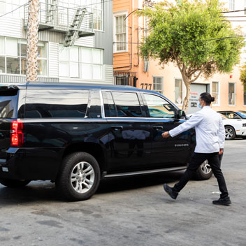 Pooches in Palm Springs