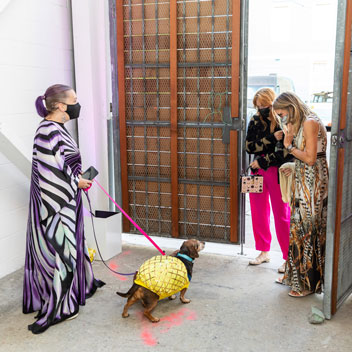 Pooches in Palm Springs