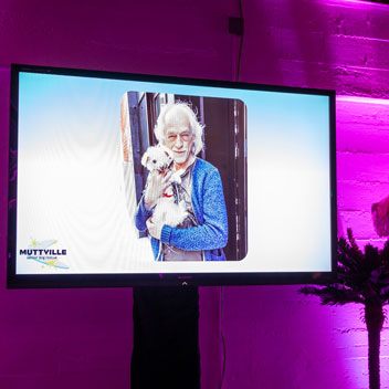 Pooches in Palm Springs