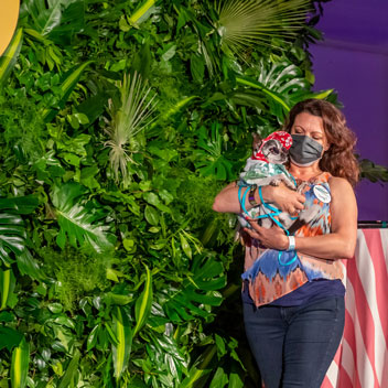 Pooches in Palm Springs