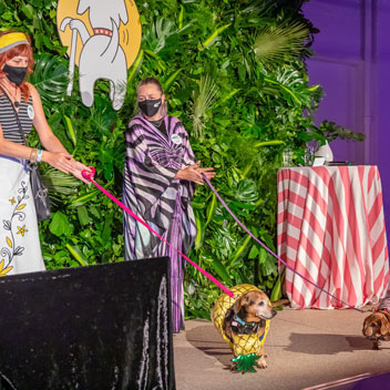 Pooches in Palm Springs