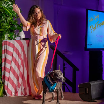 Pooches in Palm Springs