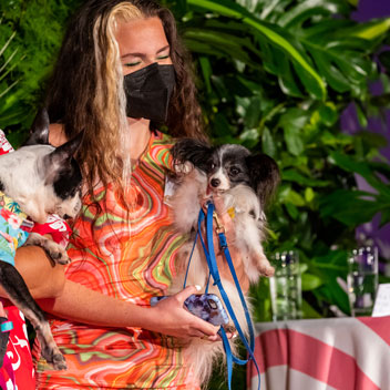 Pooches in Palm Springs