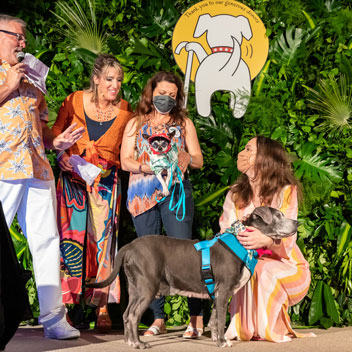 Pooches in Palm Springs