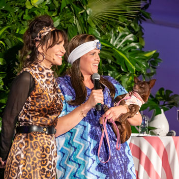 Pooches in Palm Springs