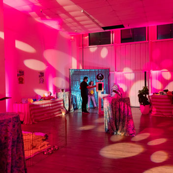 Pooches in Palm Springs