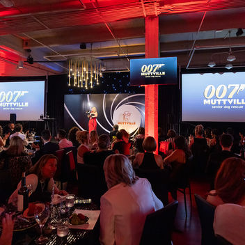 The Spy Who Loved Mutts