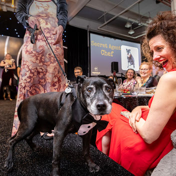 The Spy Who Loved Mutts