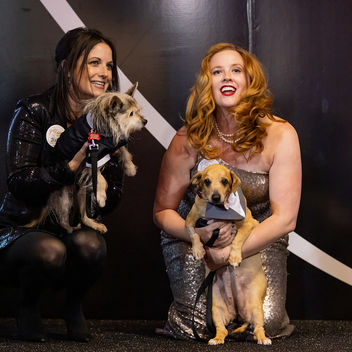 The Spy Who Loved Mutts