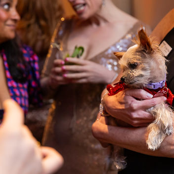 The Spy Who Loved Mutts