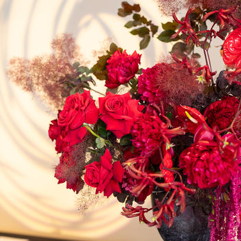 The Spy Who Loved Mutts