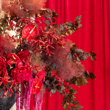 The Spy Who Loved Mutts