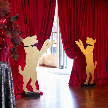 The Spy Who Loved Mutts