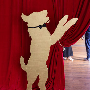 The Spy Who Loved Mutts