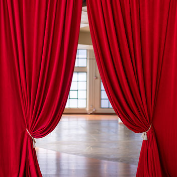 The Spy Who Loved Mutts