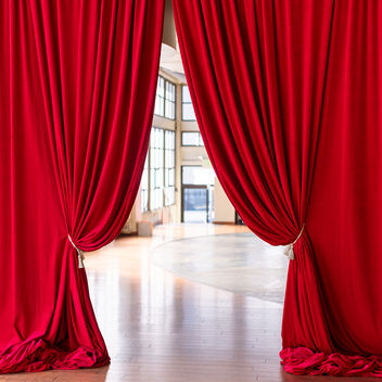 The Spy Who Loved Mutts