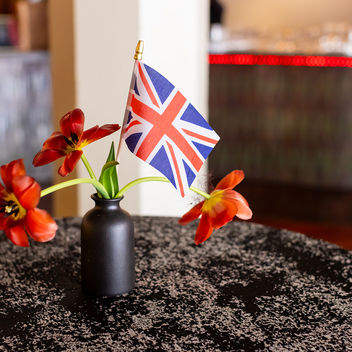 The Spy Who Loved Mutts