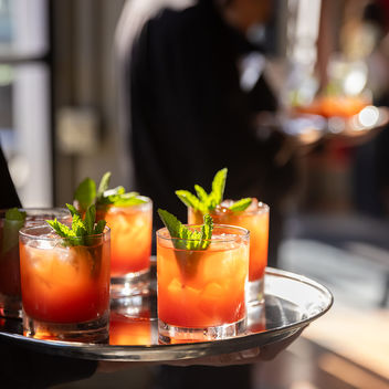 The Spy Who Loved Mutts