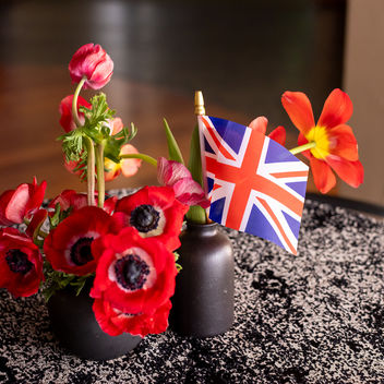 The Spy Who Loved Mutts