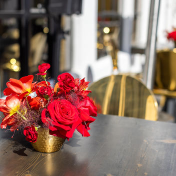 The Spy Who Loved Mutts