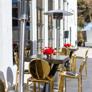 The Spy Who Loved Mutts