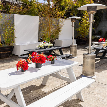 The Spy Who Loved Mutts