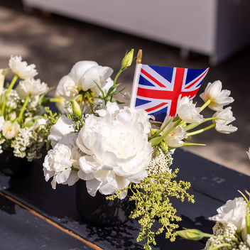 The Spy Who Loved Mutts