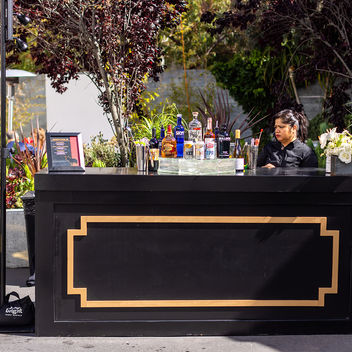 The Spy Who Loved Mutts