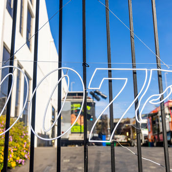 The Spy Who Loved Mutts