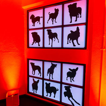 The Spy Who Loved Mutts