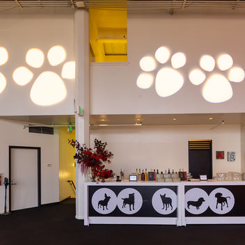 The Spy Who Loved Mutts