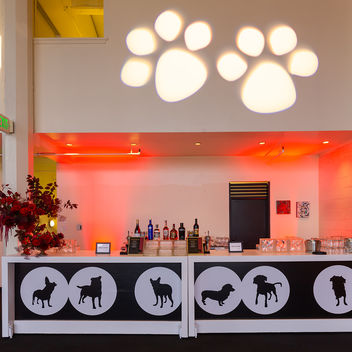 The Spy Who Loved Mutts