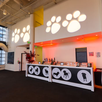 The Spy Who Loved Mutts