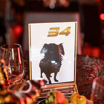 The Spy Who Loved Mutts