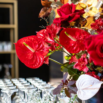 The Spy Who Loved Mutts