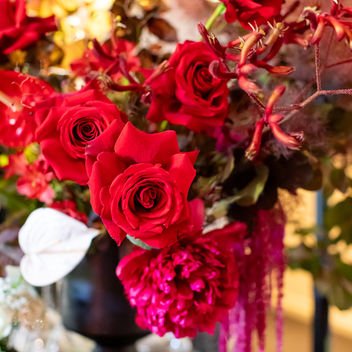 The Spy Who Loved Mutts