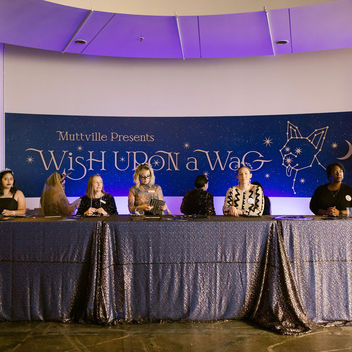 Wish Upon a Wag