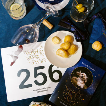 Wish Upon a Wag