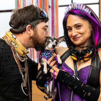 Burning Mutt (not really, just testing)