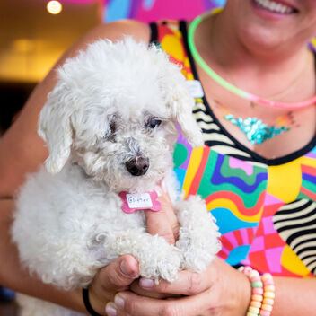 Burning Mutt (not really, just testing)