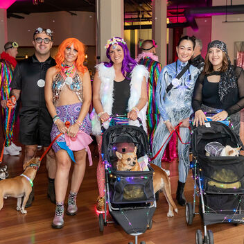 Burning Mutt (not really, just testing)